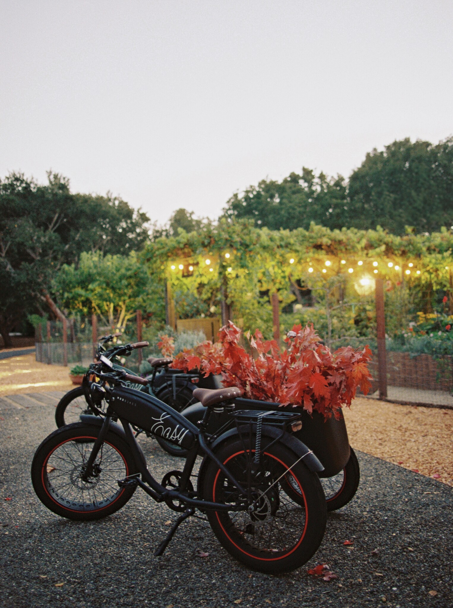 BrittRenePhoto California Luxury Wedding