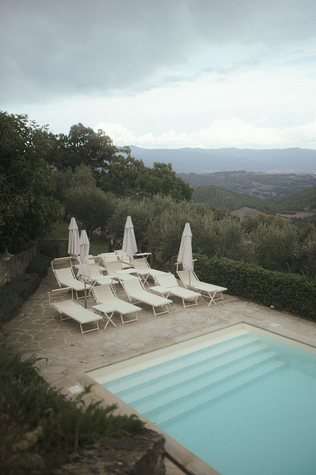 A Rustic Wedding Among Olive Trees in Tuscany by Vanessa Olewicz