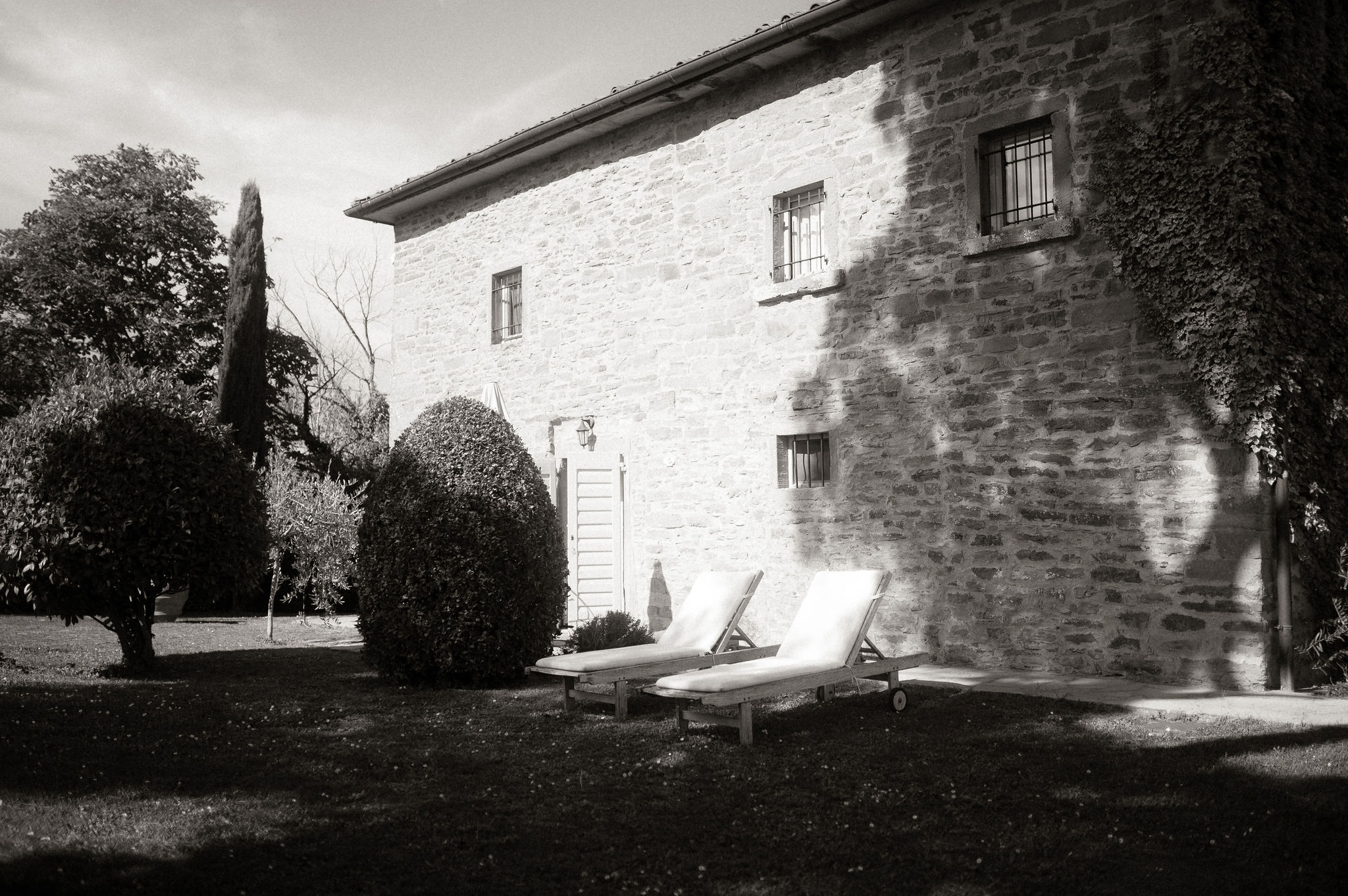 A Rustic Wedding Among Olive Trees in Tuscany by Vanessa Olewicz