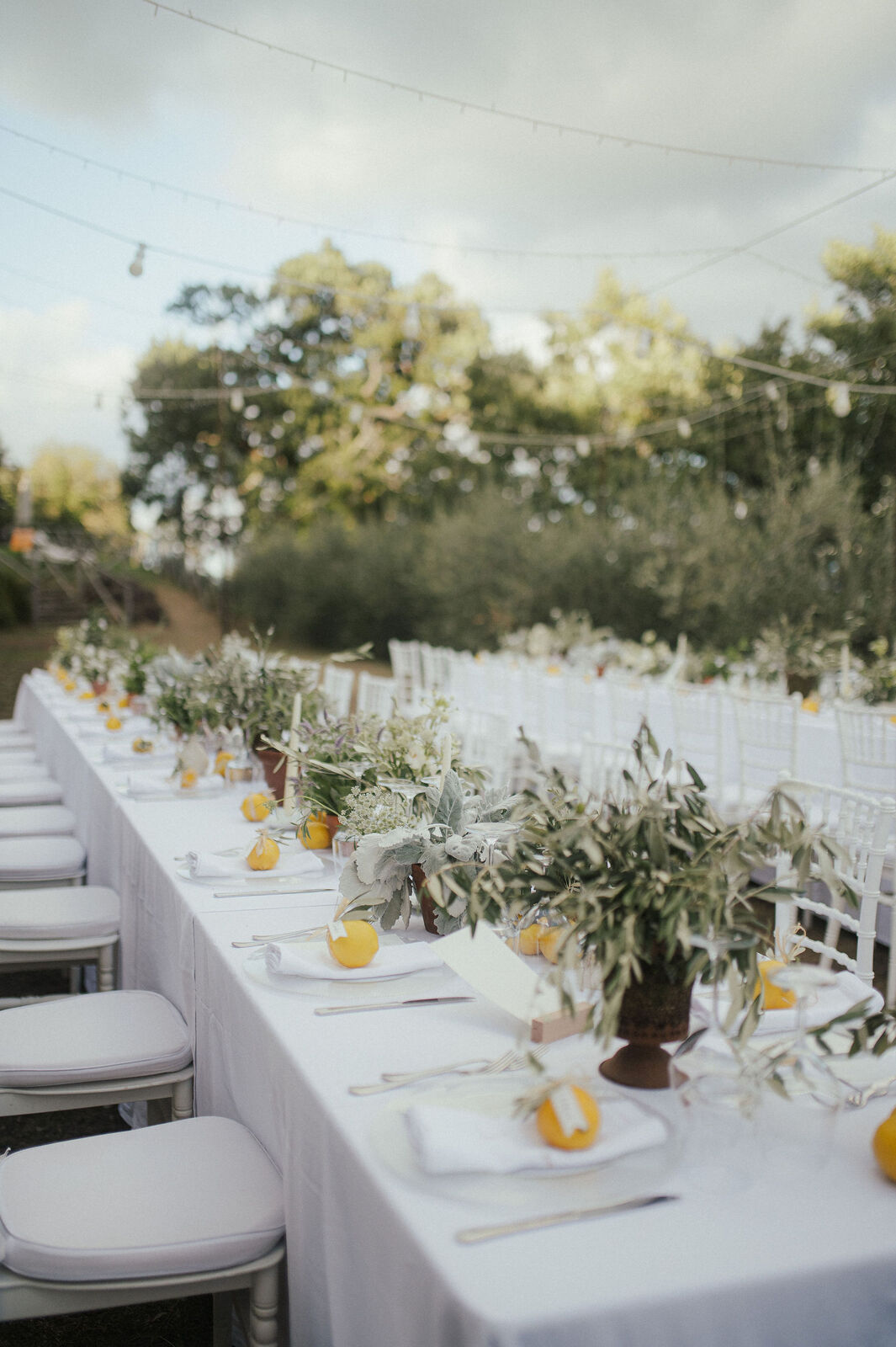 A Rustic Wedding Among Olive Trees in Tuscany by Vanessa Olewicz