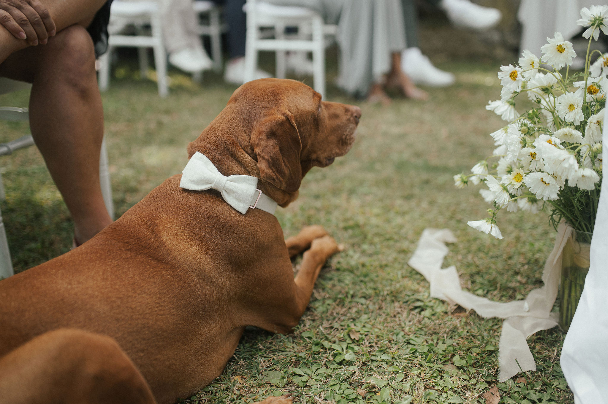 A Rustic Wedding Among Olive Trees in Tuscany by Vanessa Olewicz