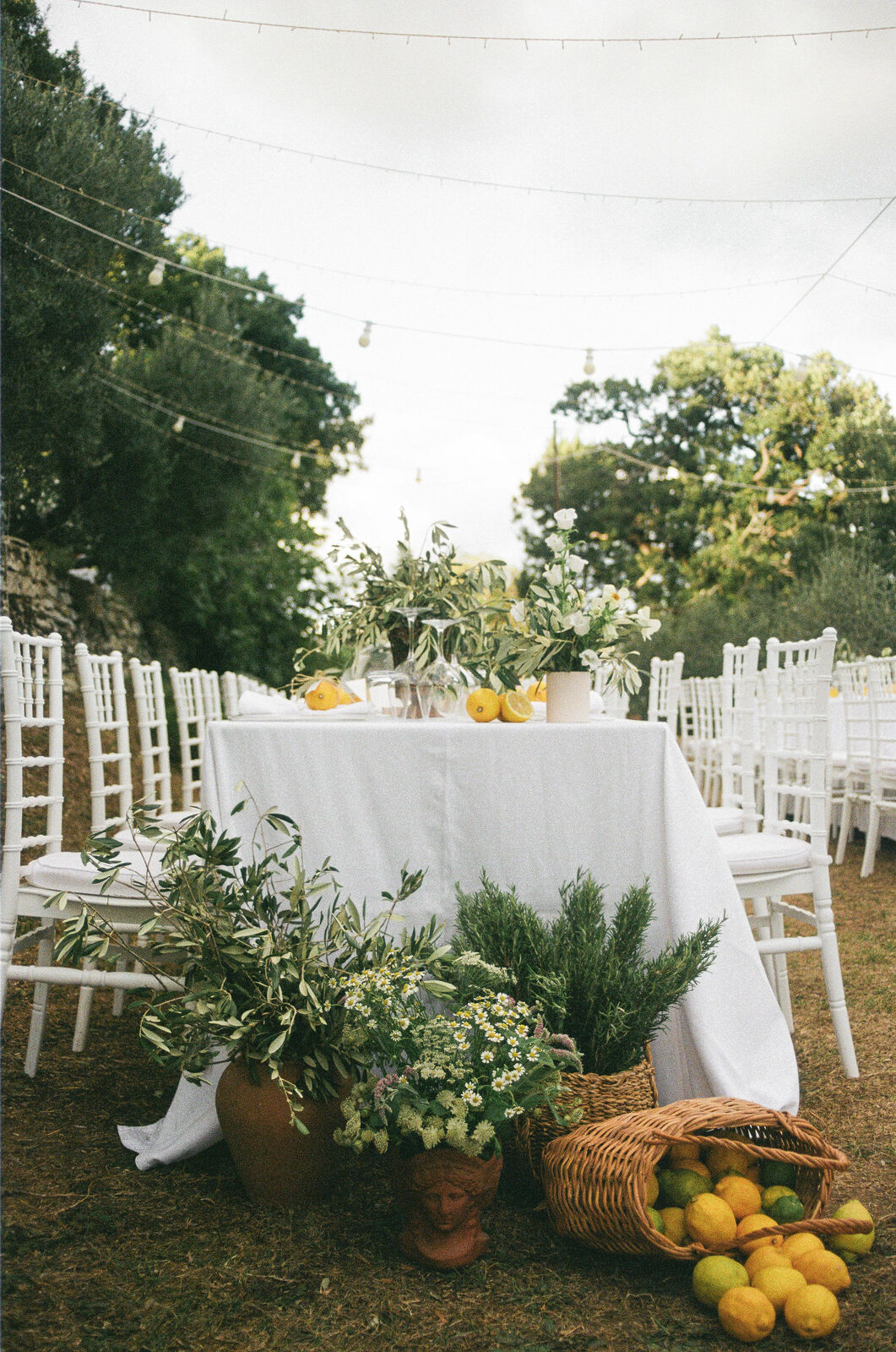 A Rustic Wedding Among Olive Trees in Tuscany by Vanessa Olewicz