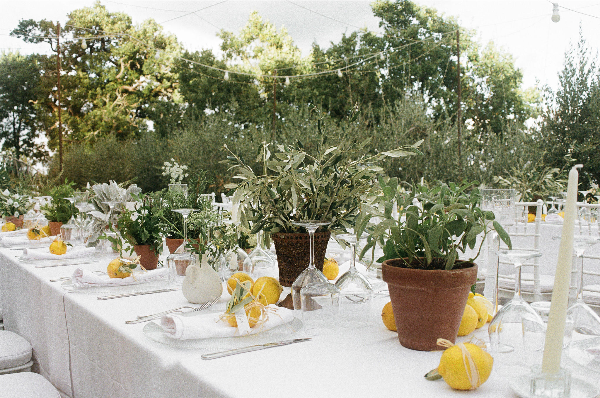 A Rustic Wedding Among Olive Trees in Tuscany by Vanessa Olewicz