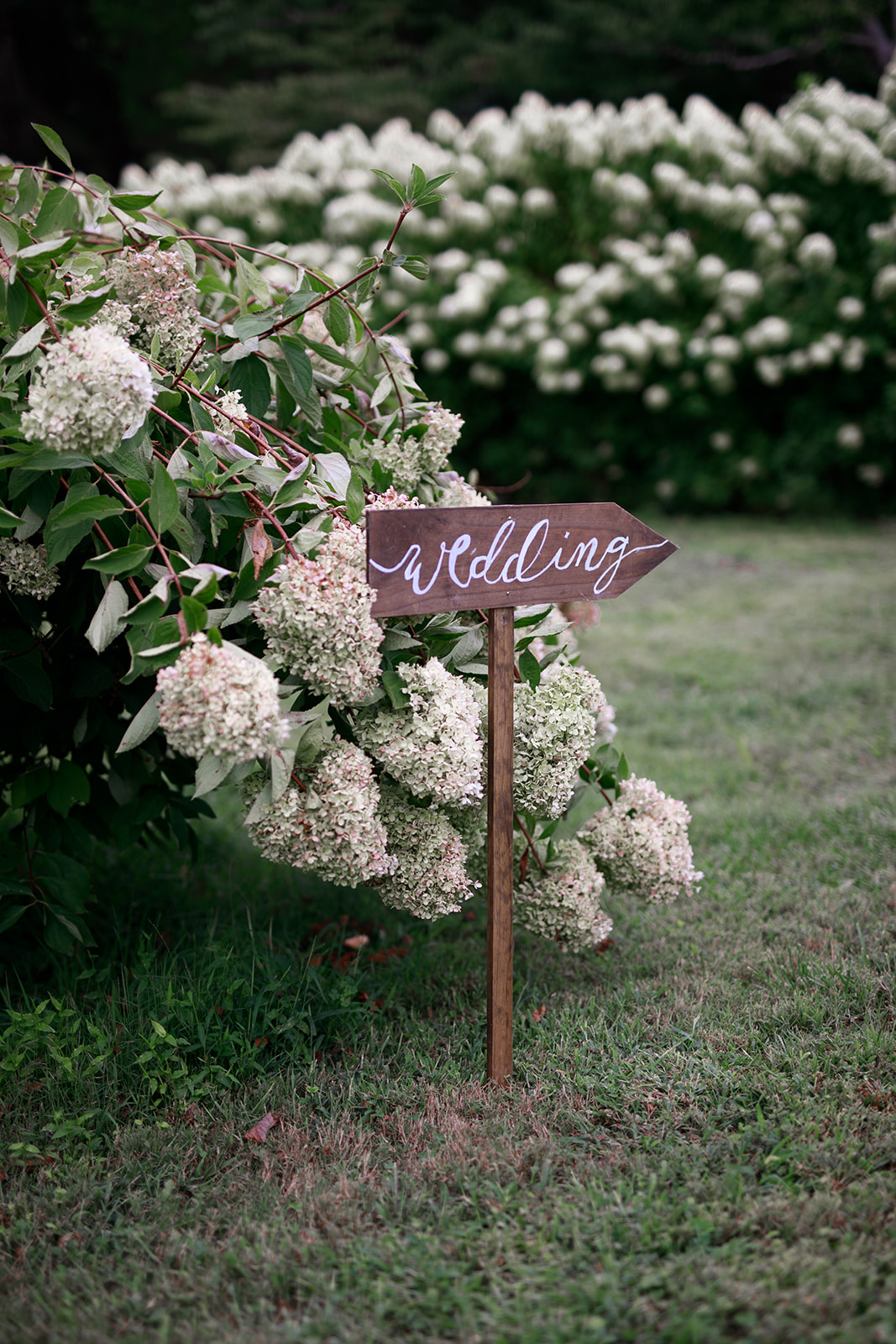 Ferdinand Loves Flowers Virginia Farm Wedding USA