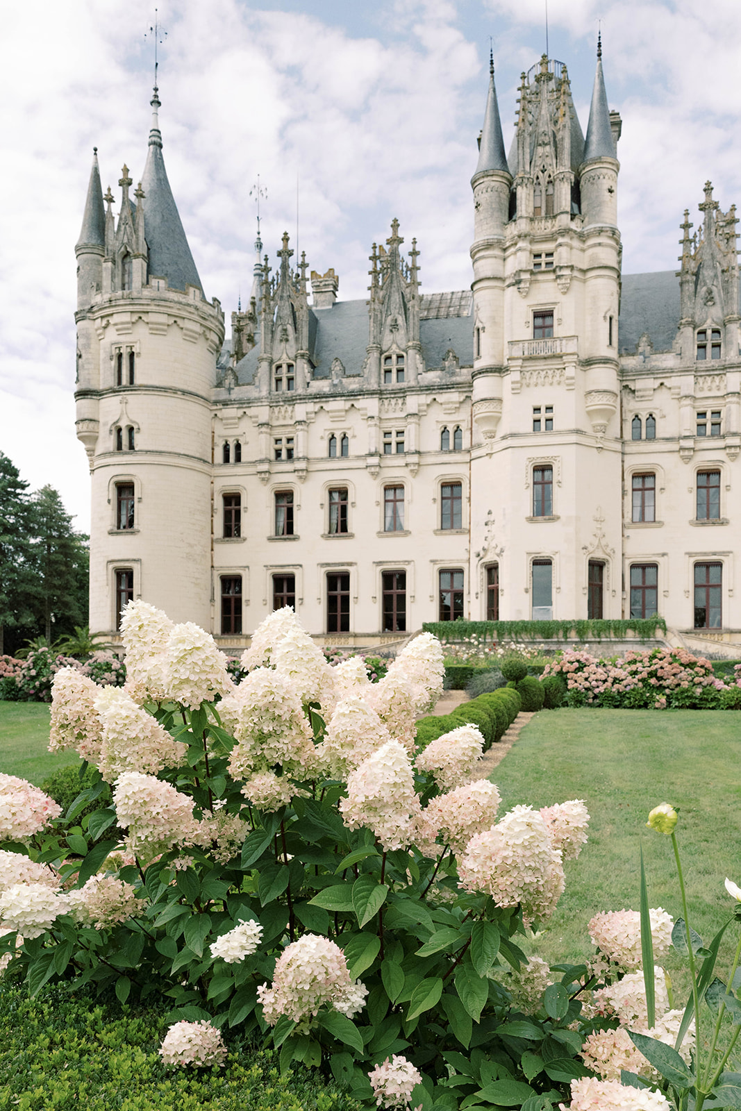 A grand, historic castle with ornate architectural details and multiple turrets stands under a partly cloudy sky. In the foreground, lush white hydrangeas bloom in a well-maintained garden, enhancing the scene’s serene and majestic atmosphere.