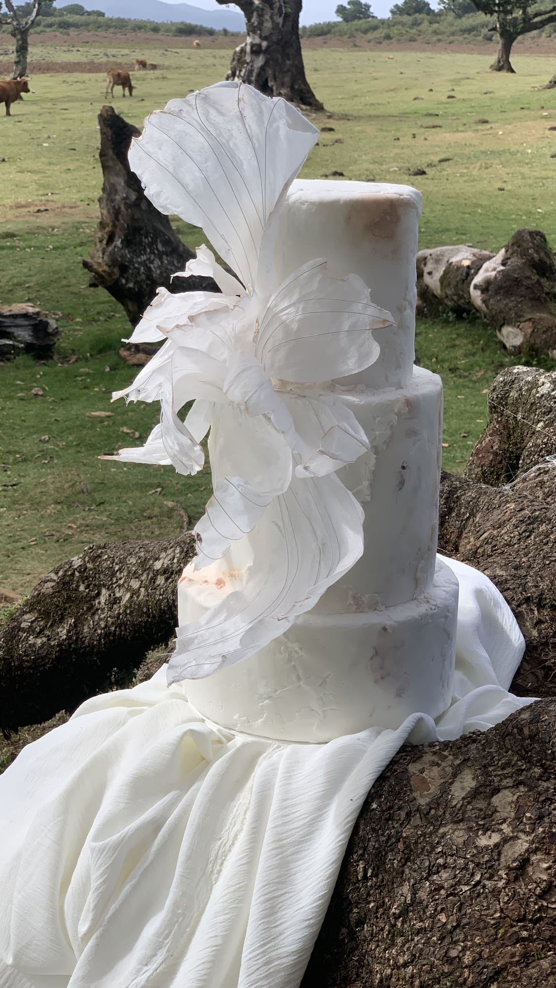 A three-tier white wedding cake sits on a tree trunk covered with a white cloth. The cake features delicate, large white flowers as decoration. The backdrop includes a green field with grazing cows and scattered trees.