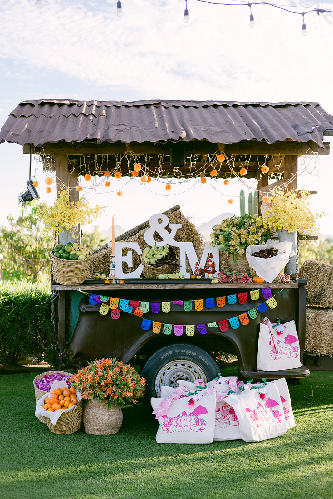 Cabo San Lucas wedding photographers