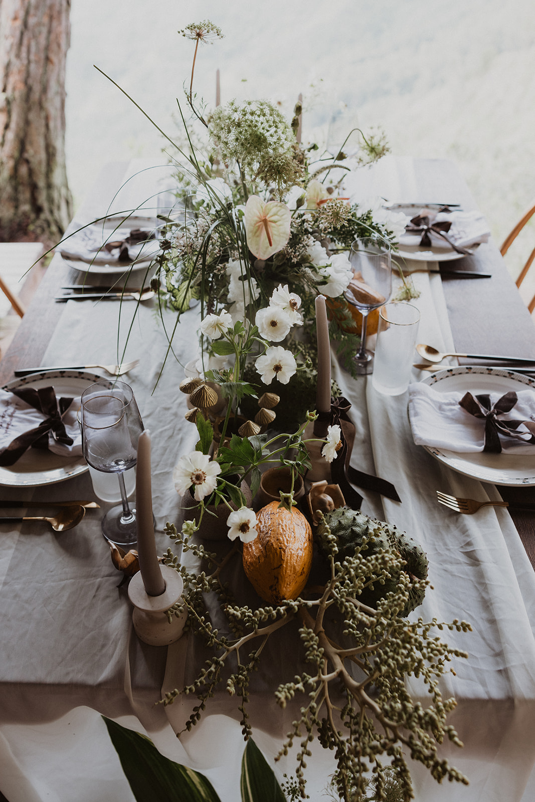 Ossipoff Cabin Elopement