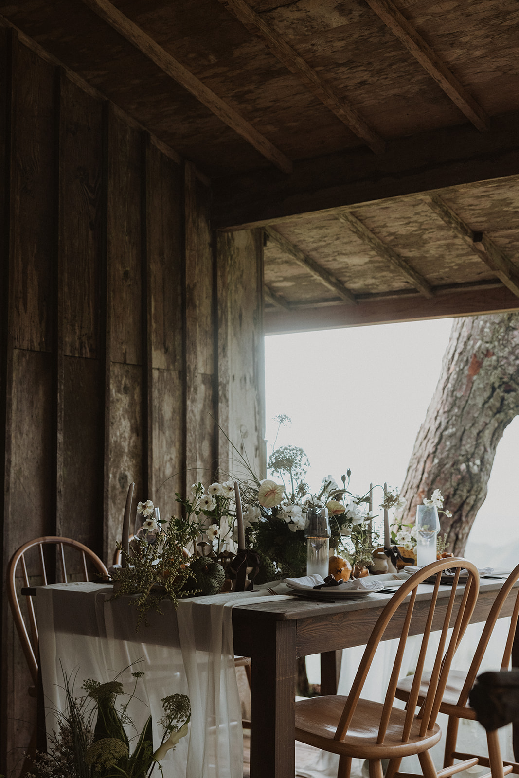 Ossipoff Cabin Elopement