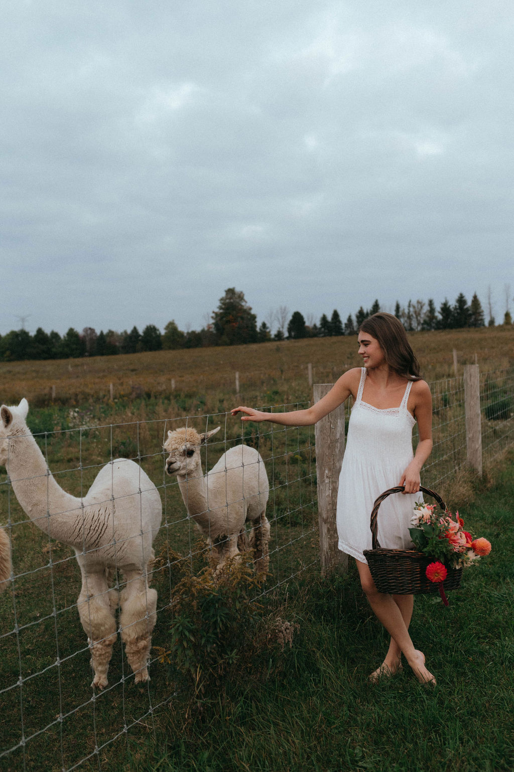 Gaetz Photo - wedvibes- inspo137