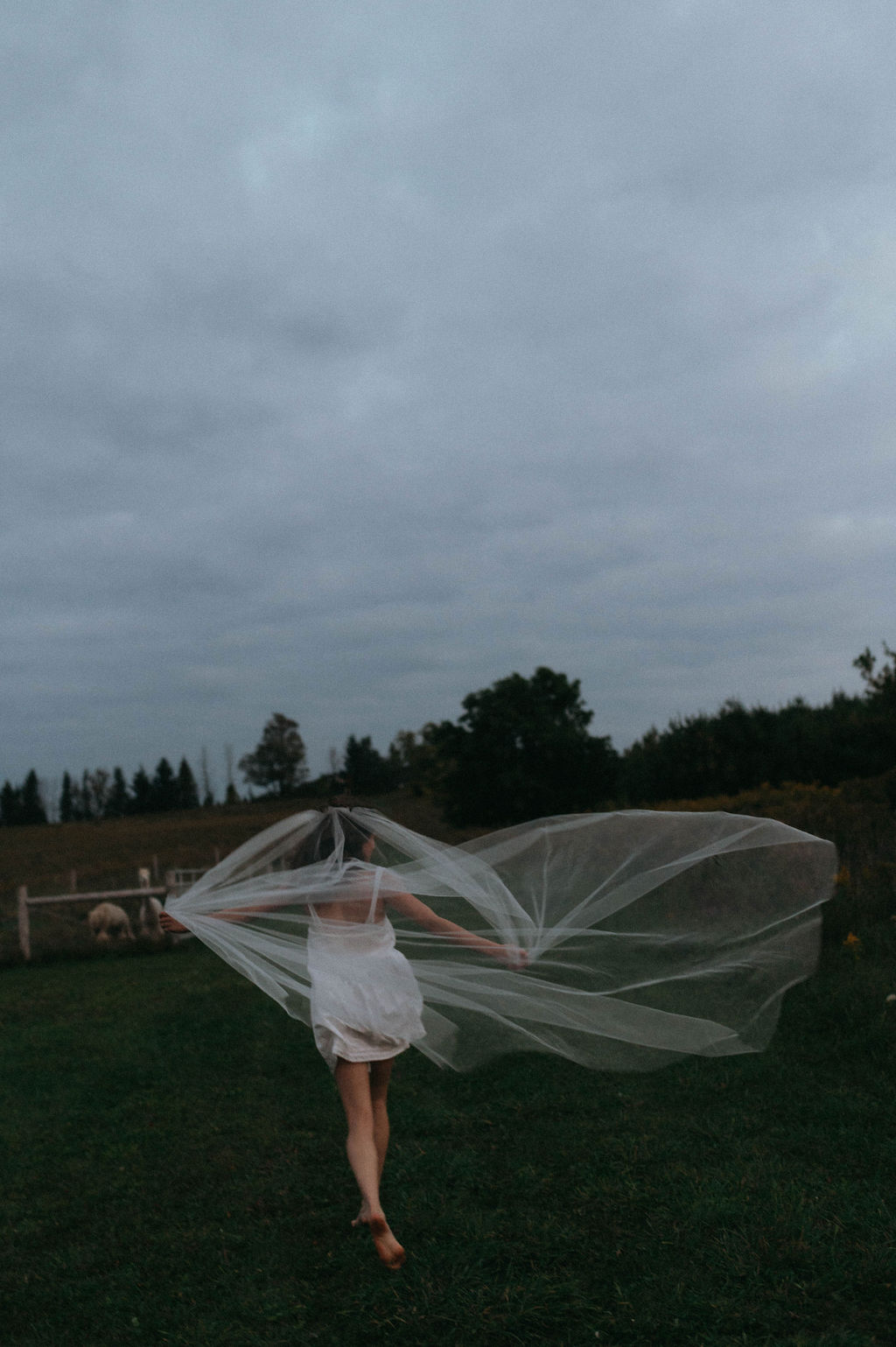 Gaetz Photo - wedvibes- inspo157