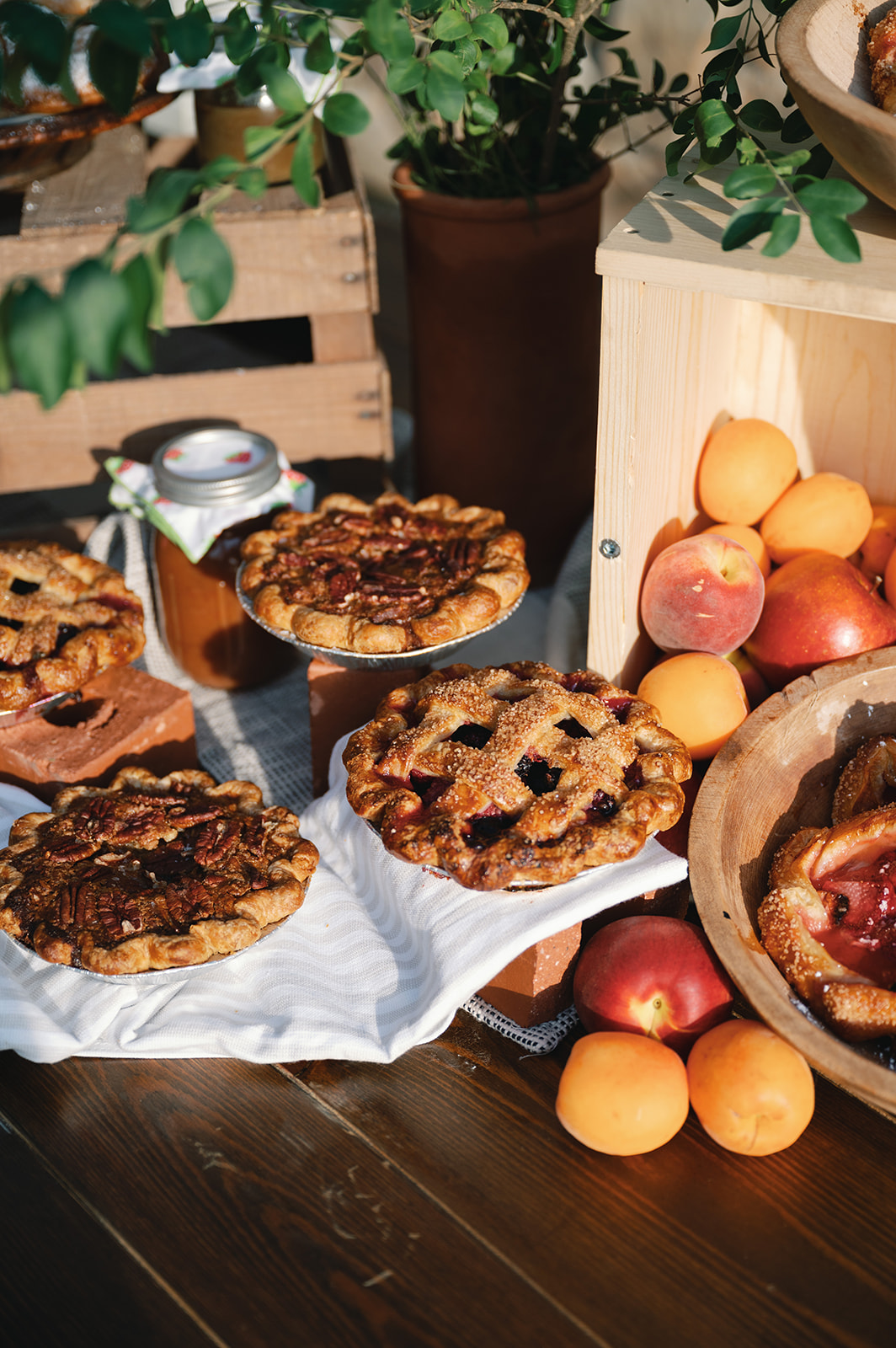 Homecoming Harvest Editorial