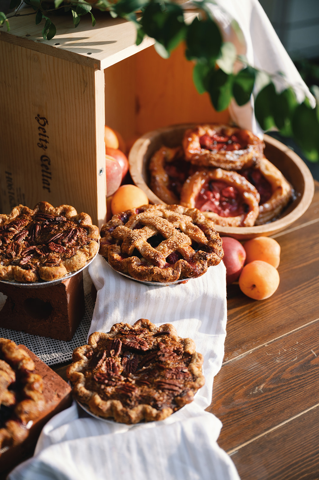 Homecoming Harvest Editorial