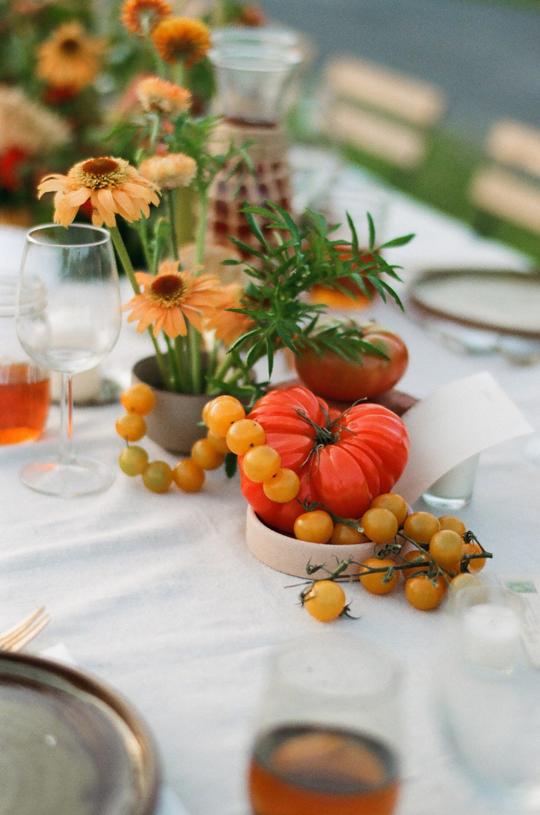 Homecoming Harvest Editorial